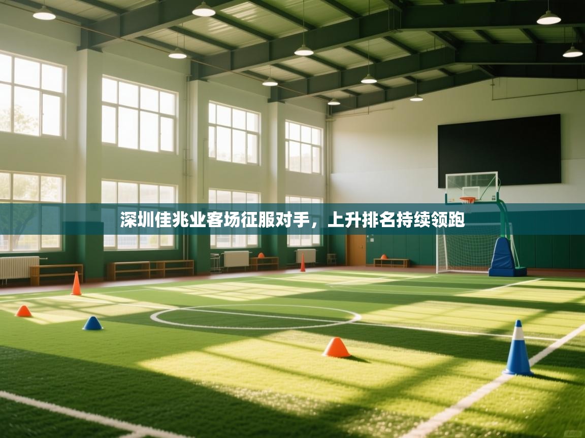 深圳佳兆业客场征服对手，上升排名持续领跑  第2张