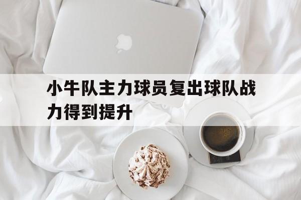 爱游戏体育官网-小牛队主力球员复出球队战力得到提升