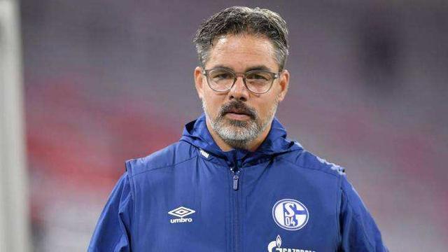 沙尔克主教练遭到解雇，球队寻求新的突破的简单介绍